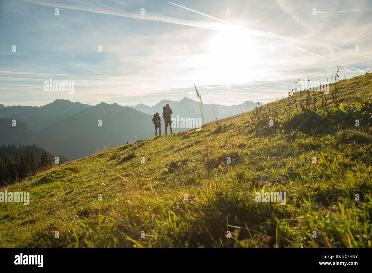 Austria, Tyrol, Tannheimer Tal, young couple hiking on alpine meadow Stock Photo