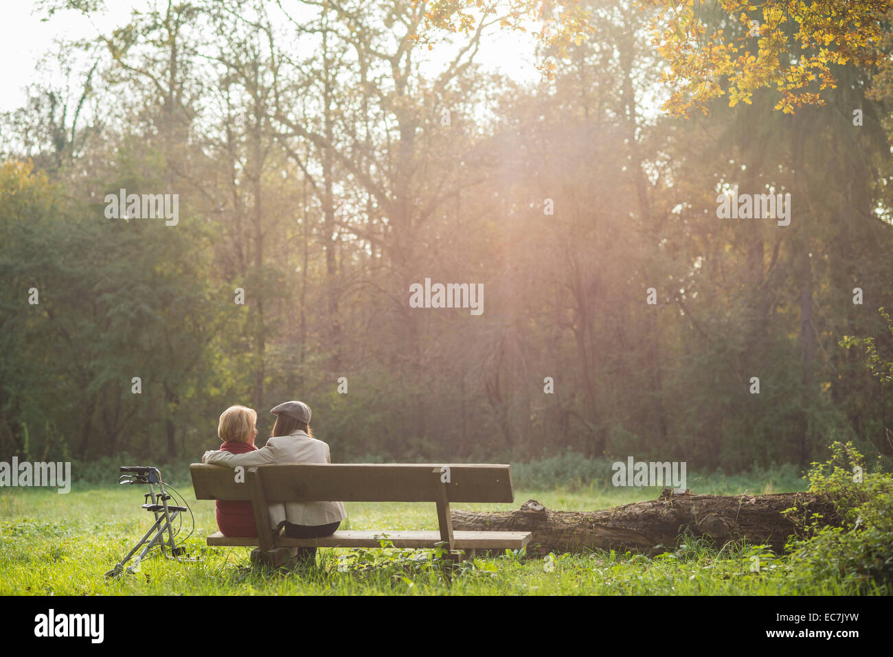 Senior woman and granddaughter sitting on a park bench, back view Stock Photo