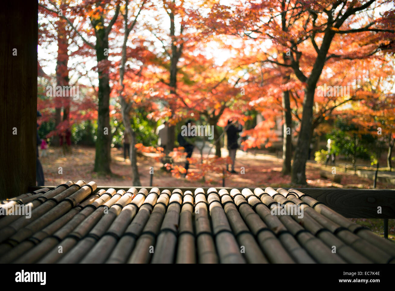 Autumn colors at shinnyo-do temple, kyoto, Japan. Stock Photo