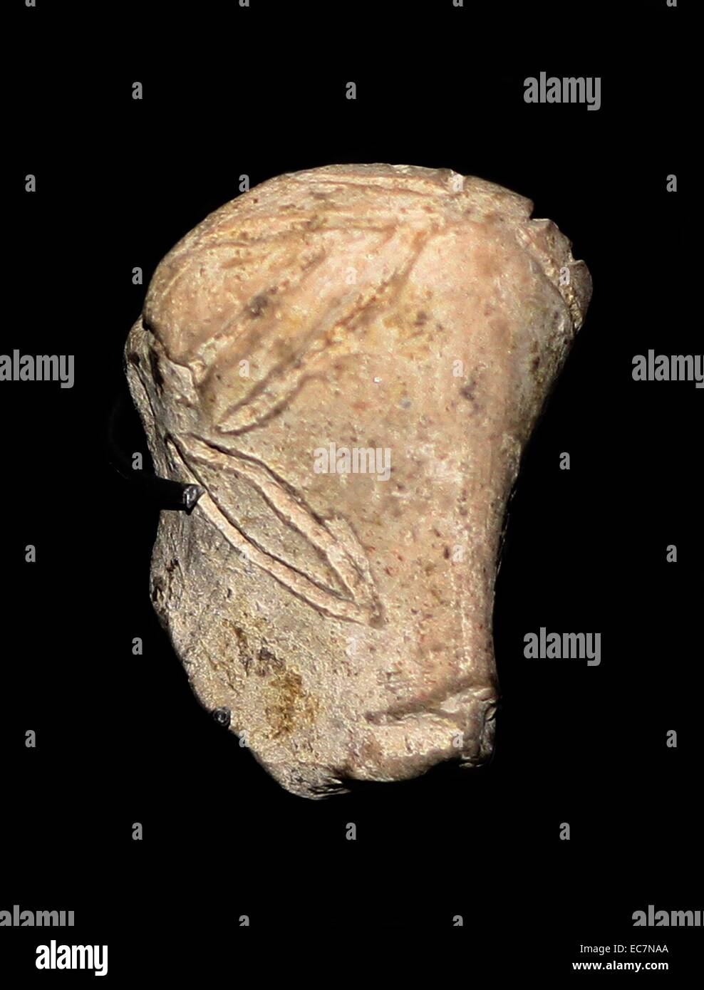 From the Vinca tell, Serbia, about 4500-4000 BC. (back) Large female figurine without head. (Left) female figurine fragment with incised decoration of clothing. Stock Photo