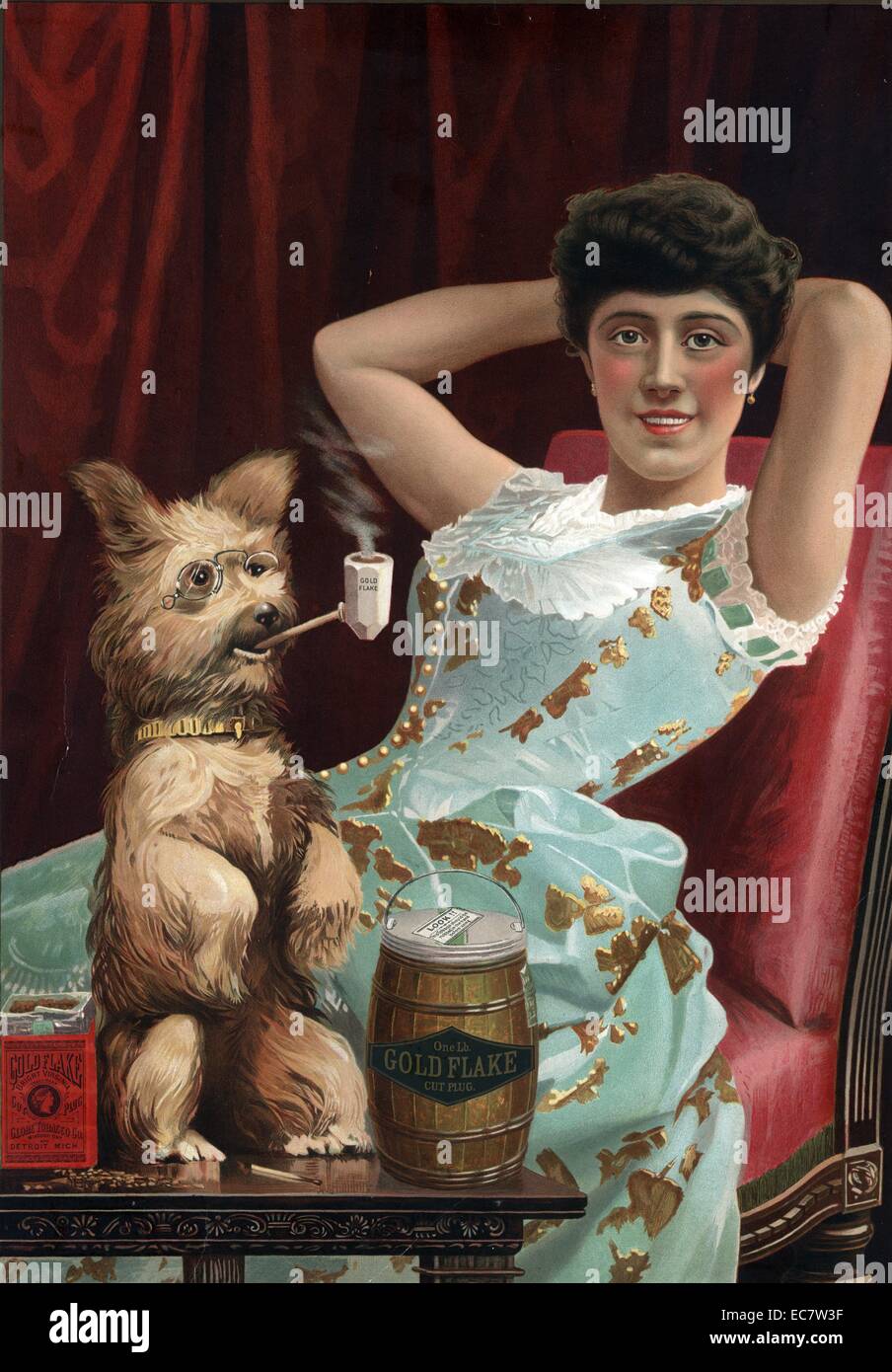 Advertisement for Globe Tobacco Co. The advert shows a young woman relaxing (lounging) as a dog smokes a pipe. On the table are a box and a tin of Gold Flake Cut Plug chewing tobacco. Shot between 1890 and 1900. Stock Photo