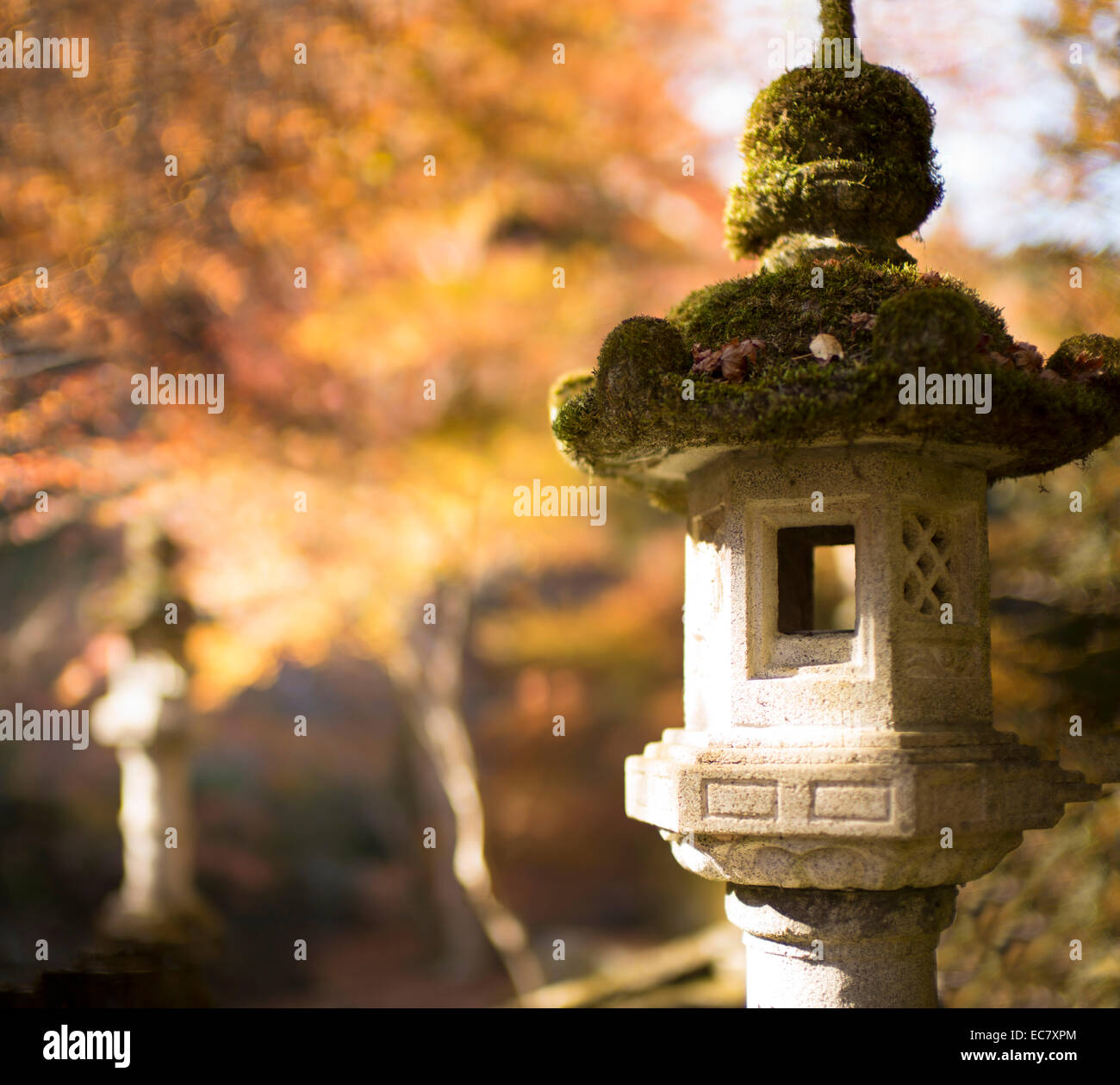Japanese lantern in autumnal setting. Stock Photo