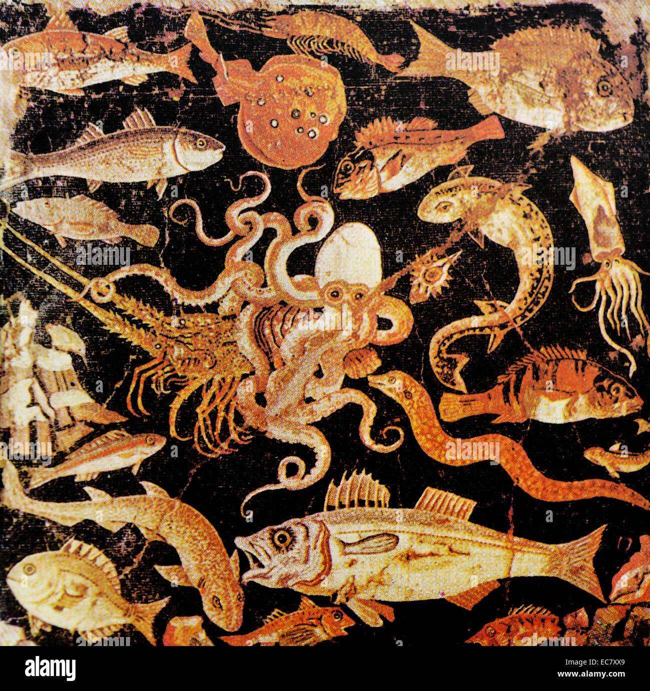 Marine Life. Floor mosaic from the House of the Faun, Pompeii Stock