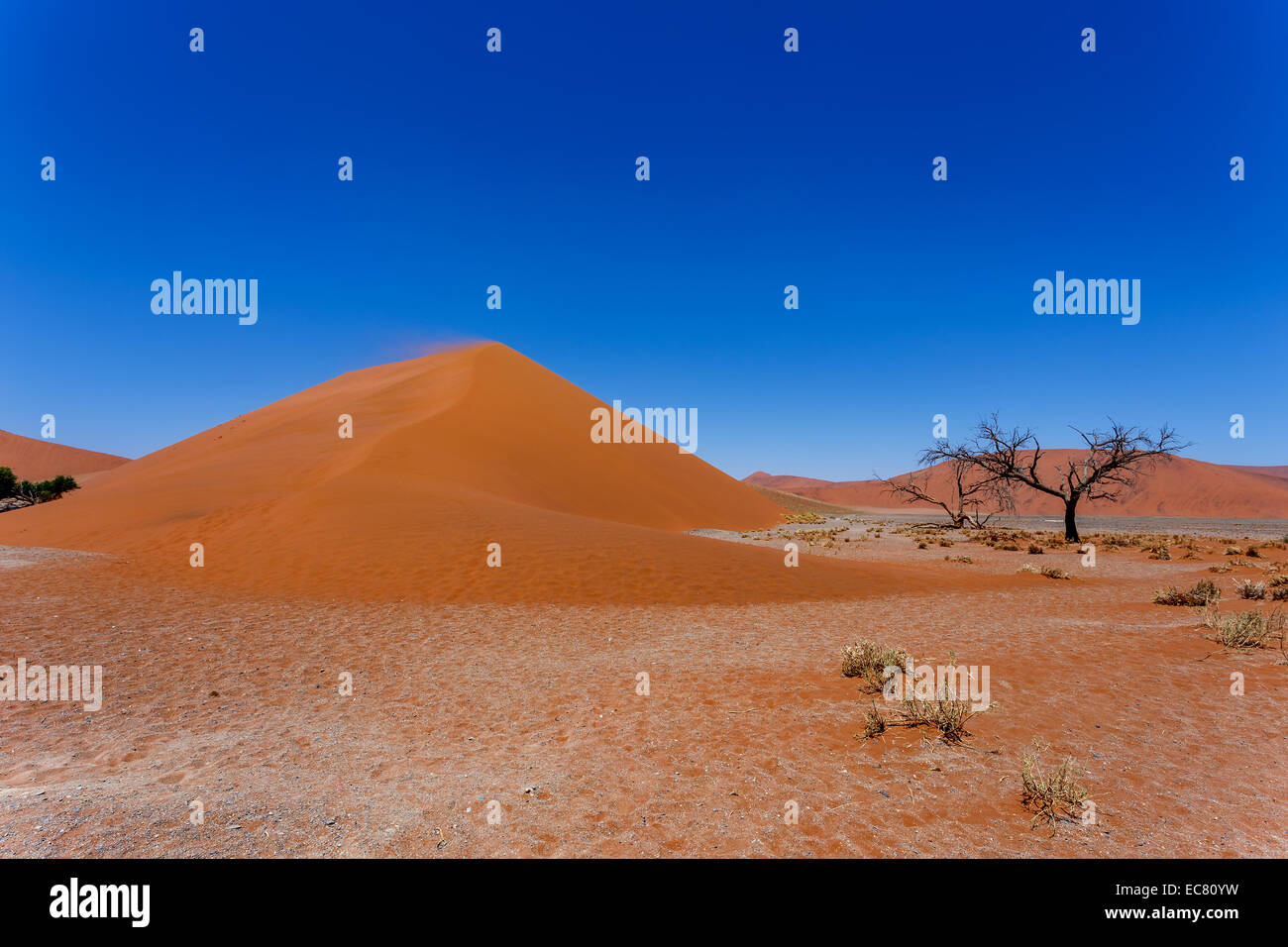 Dune 45 in sossusvlei Namibia, biggest dune in the world Stock Photo