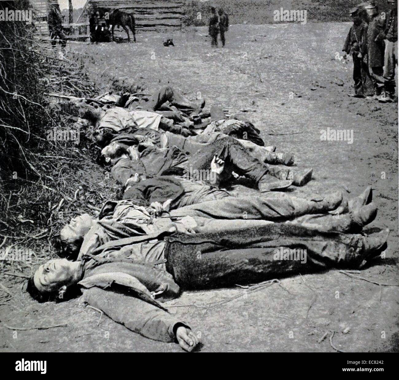 Dead Confederate soldiers of General Ewell's Corps who attacked the Union lines at the Battle of Spotsylvania, 19th May, 1864. Stock Photo