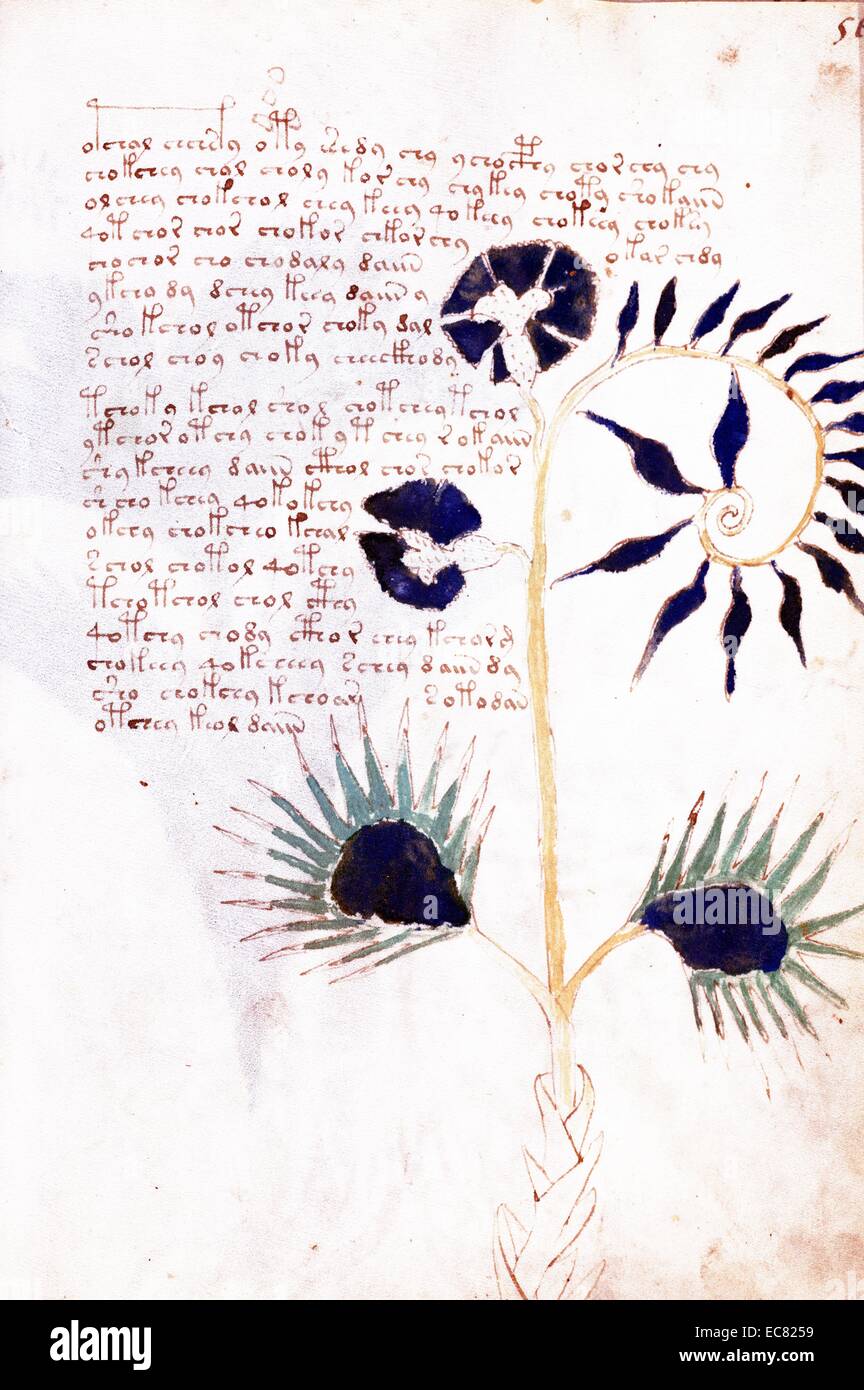 voynich dating i have no time for dating