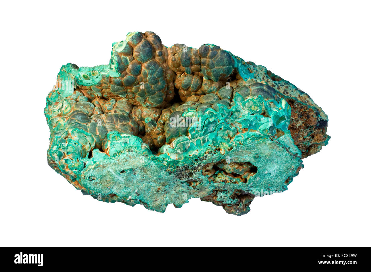 Sample of malachite (hydrated copper carbonate) with brown limonite (mixture of iron-bearing minerals). Stock Photo