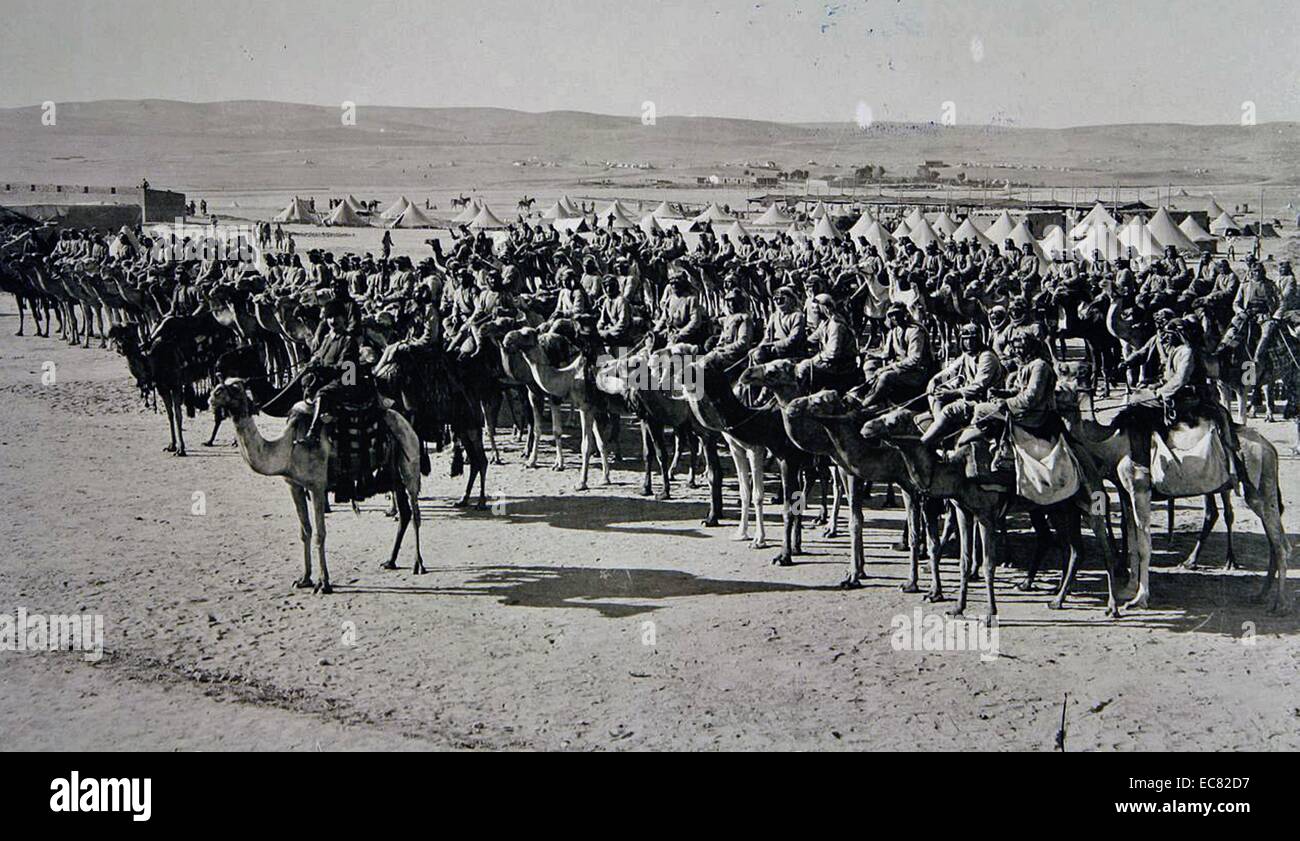 Picture shows Ottoman soldiers mounted on camels during the First World War, preparing to attack the British forces. 1917 Palistine. Stock Photo