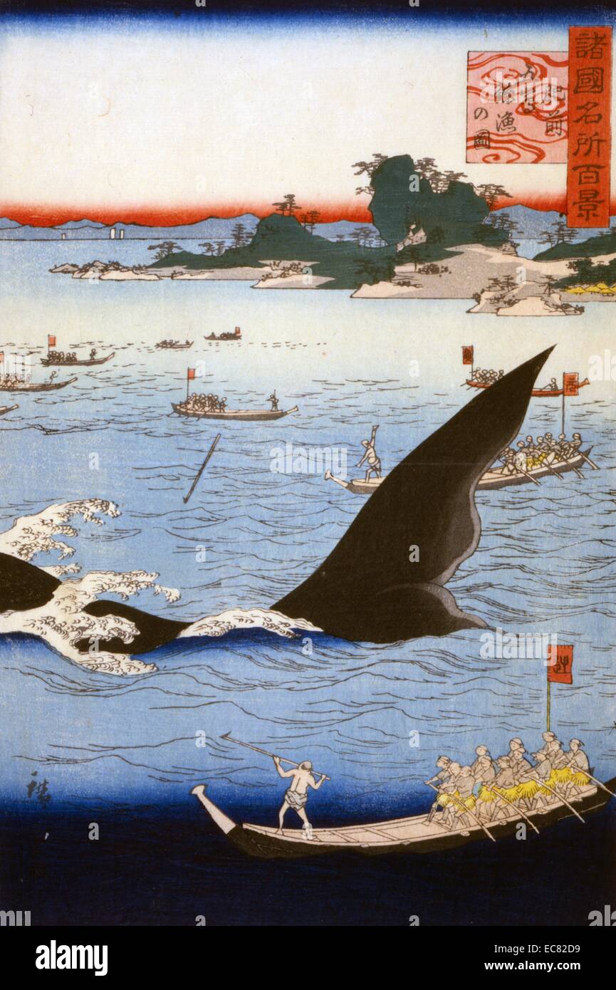 Japanese colour print depicting whale hunting. Whalers armed with
