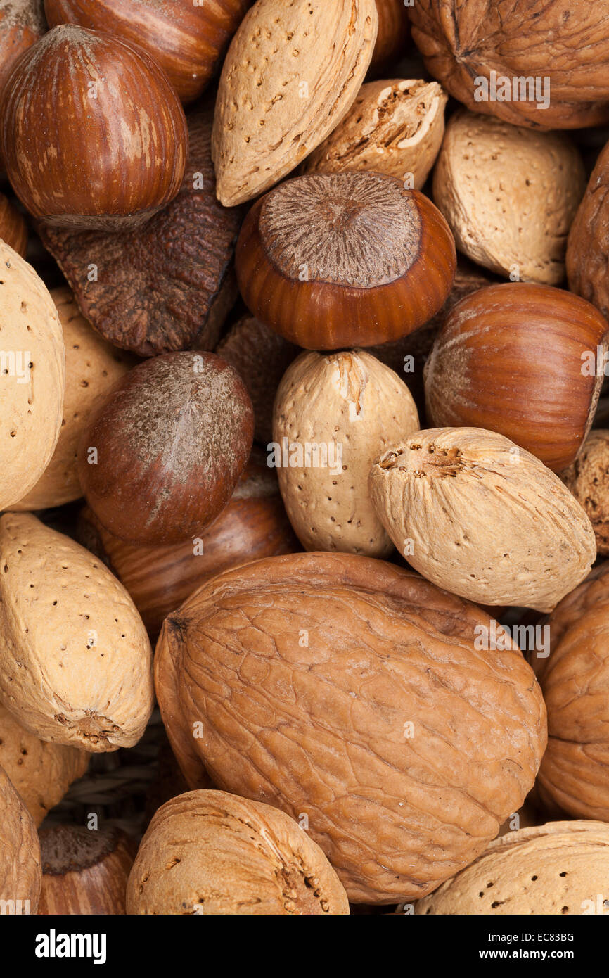 Nut kinds hires stock photography and images Alamy
