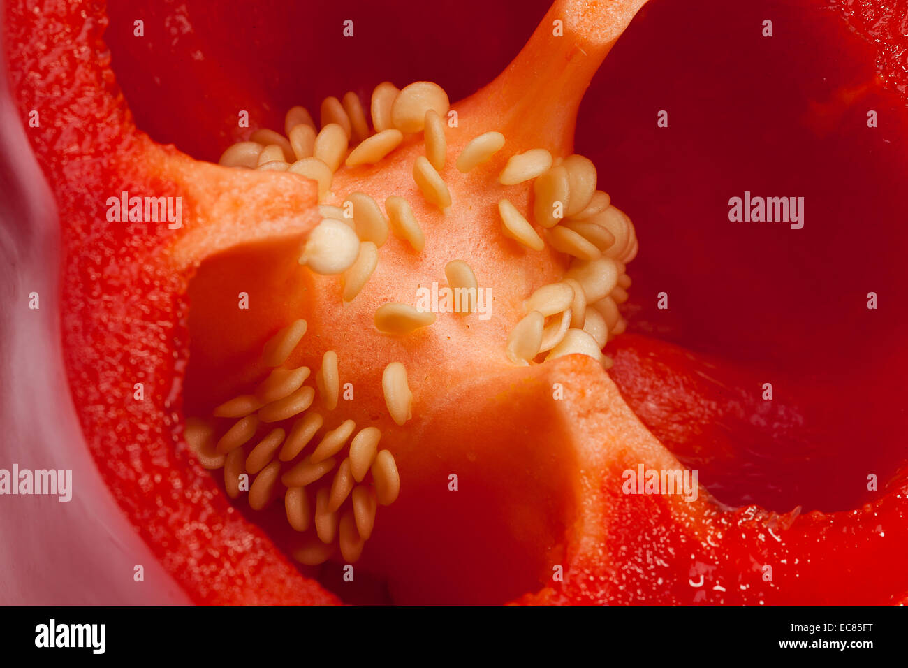 Red bell pepper closeup. Stock Photo