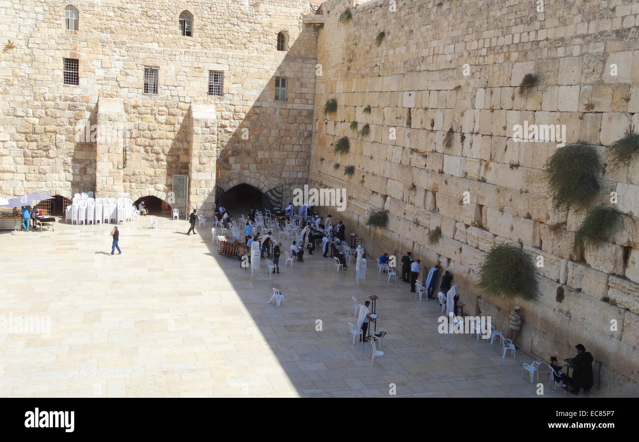 Schlüssel Philosoph Vogel kotel western wall Starren Aufregung Herbst