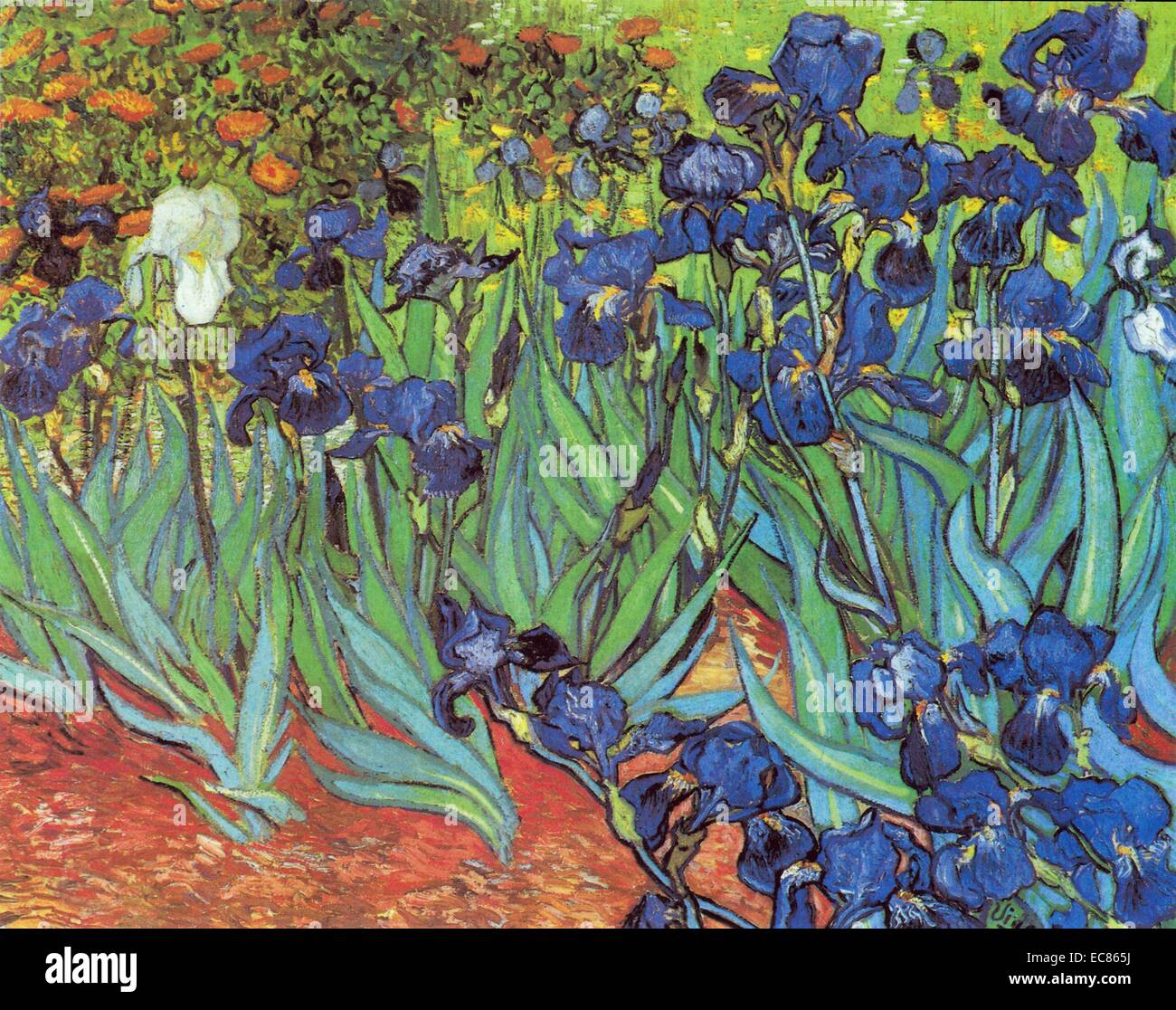 Iris' by Vincent Van Gogh (1853-1890) a post-impressionist painter of Dutch  origin. Dated 1889 Stock Photo - Alamy
