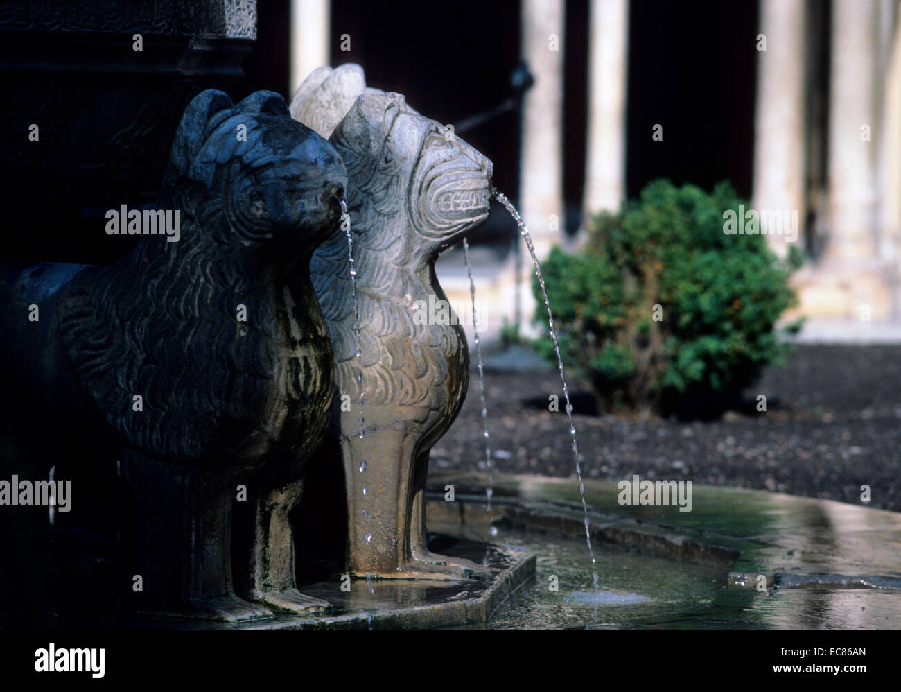 The Alhambra is a palace and fortress complex located in Granada, Andalusia, Spain. This image shows the Court of the Lions and its fountain Stock Photo