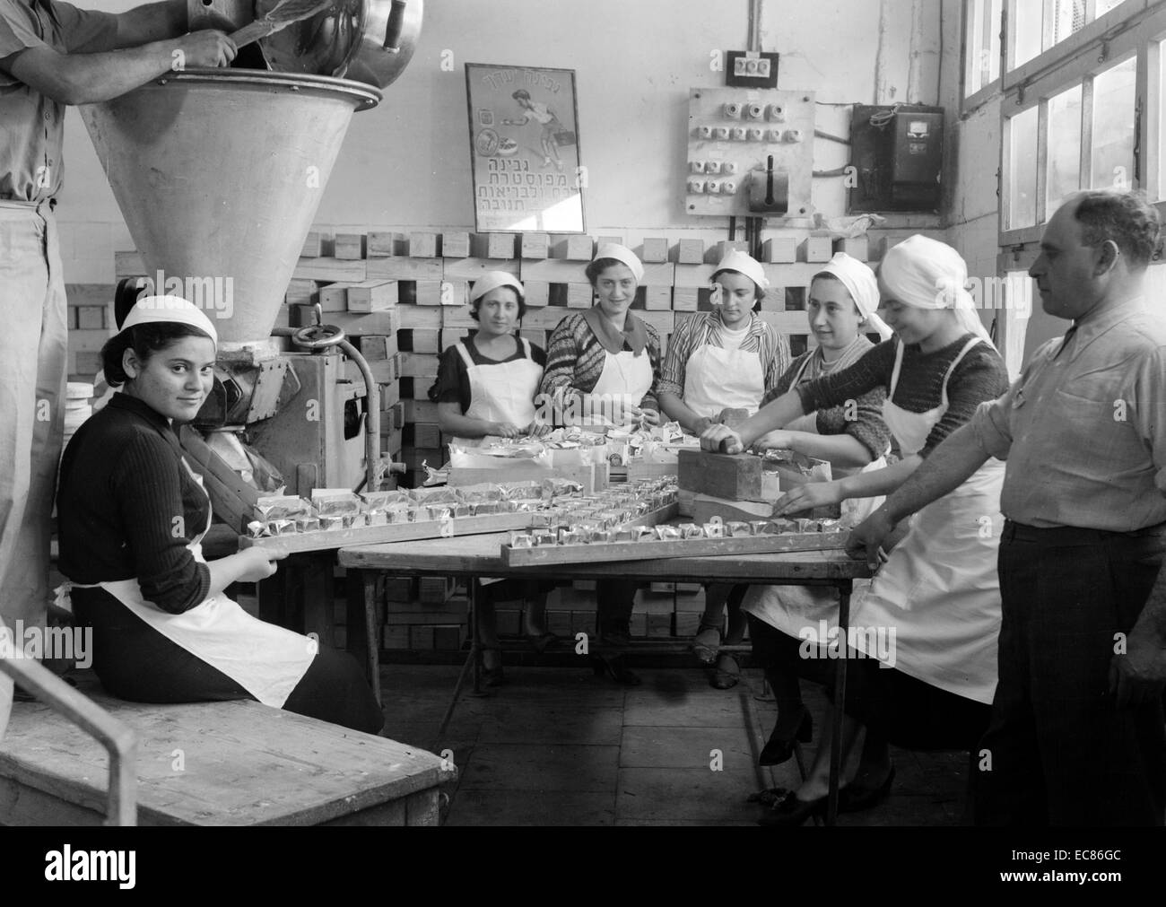 Photograph of a Jewish Cheese Factory in Palestine, on Plain of Sharon