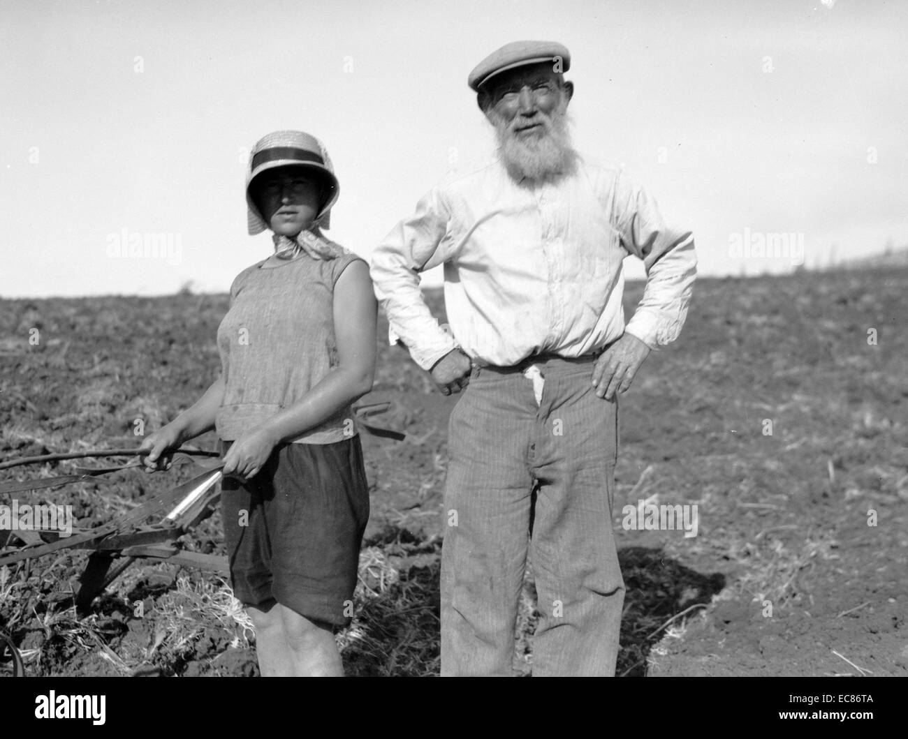 Photograph of Agricultural Colony in the Jerzreel Valley south of the ...