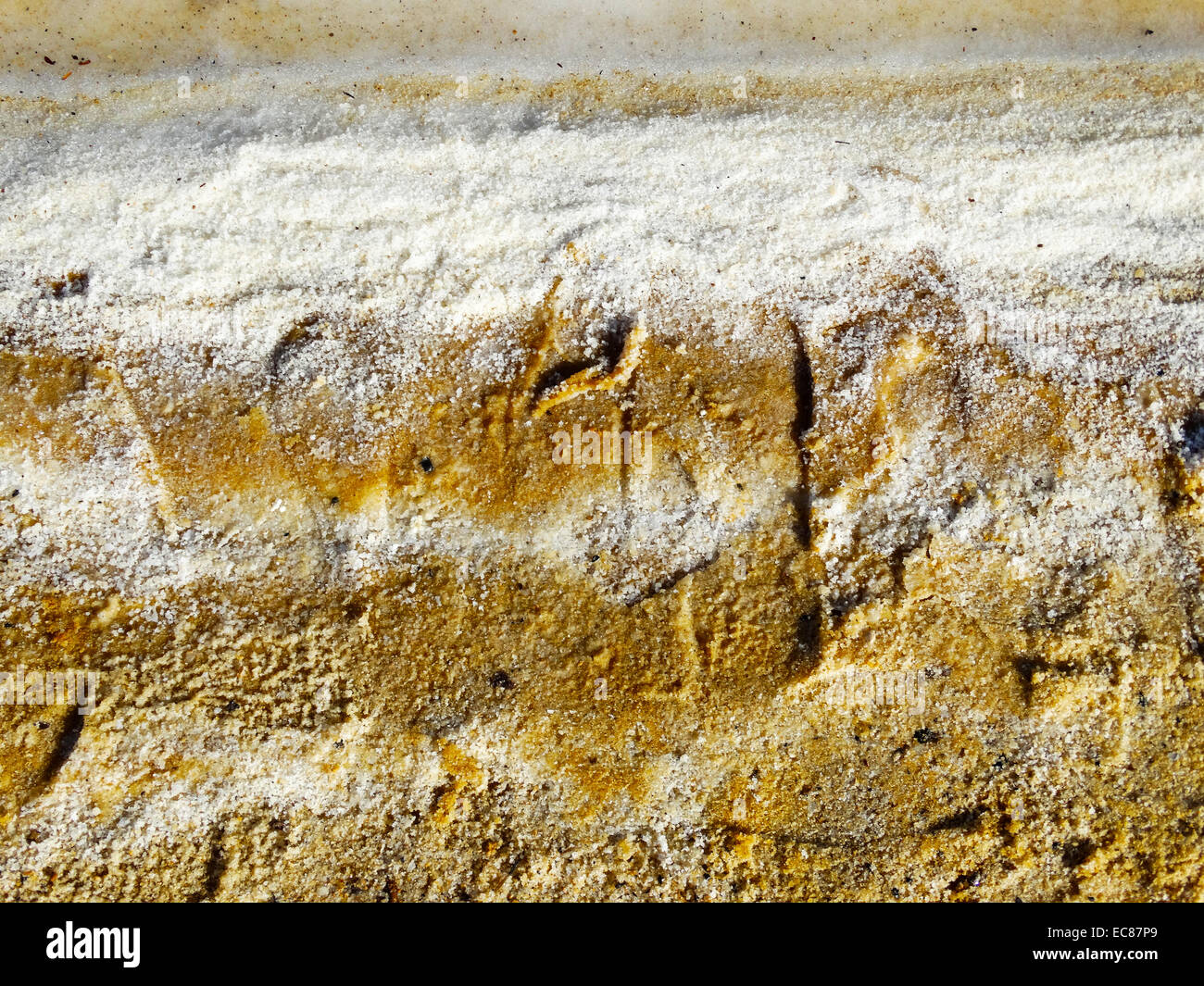Salt crystals deposited on the edge of the Dead sea near Ein Bokek; Israel Stock Photo