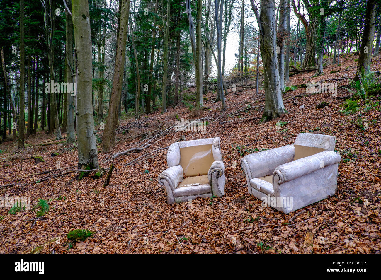 FLY TIPPED FURNITURE IN WOODLAND GLOUCESTERSHIRE ENGLAND UK IN AN AREA OF OUTSTANDING NATURAL BEAUTY, THE WYE VALLEY. Stock Photo