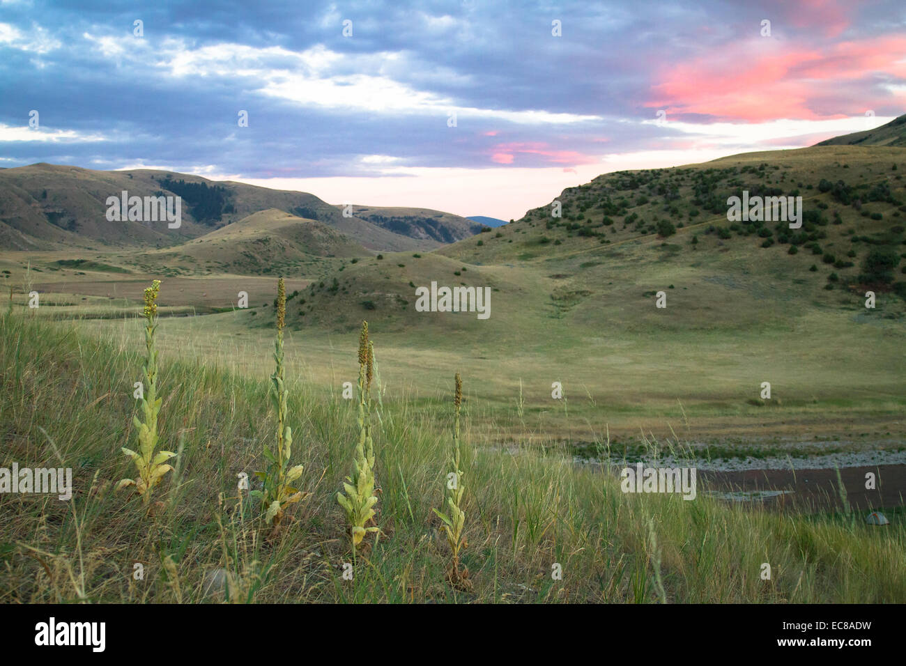 Backcountry Scenery Along the Smith River, Montana, USA Stock Photo