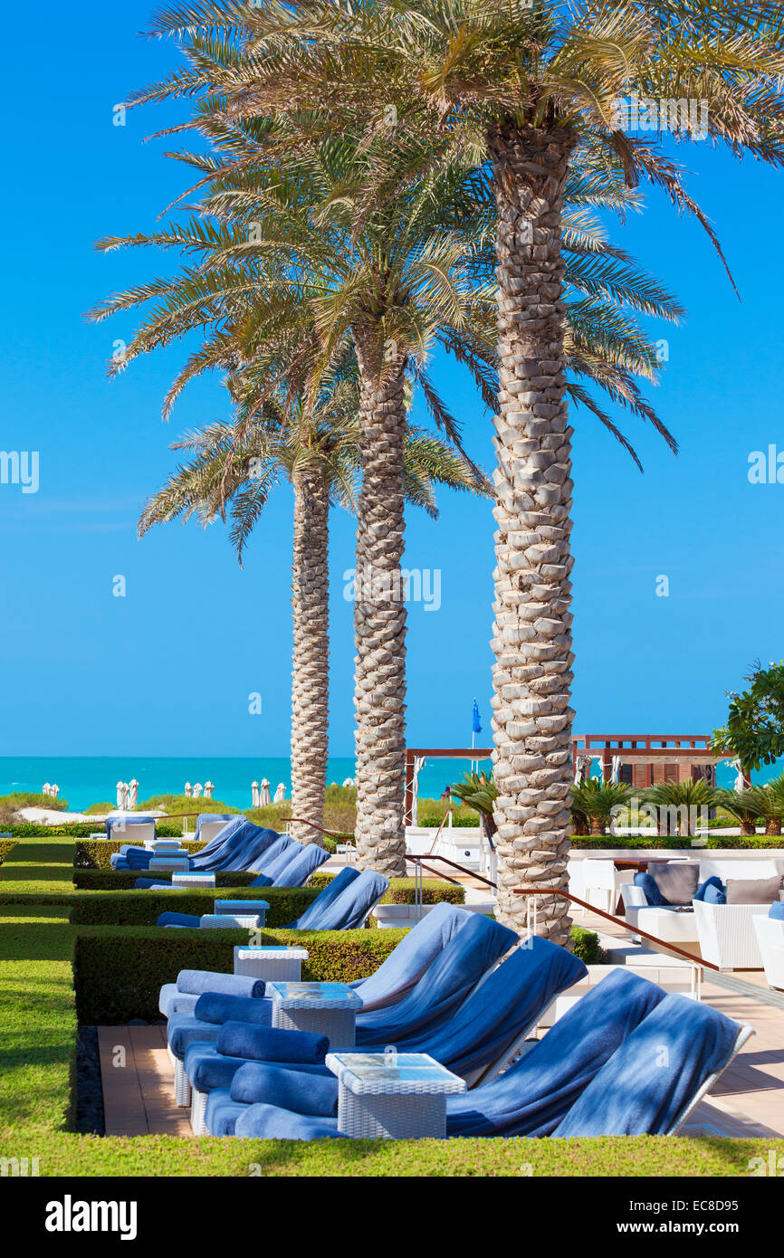 View of deckchairs and palm trees Stock Photo
