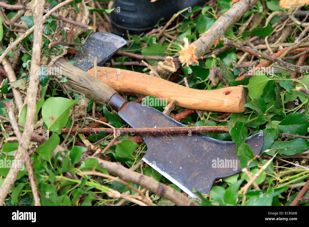 Axe and billhook, tools used in hedge laying. Stock Photo