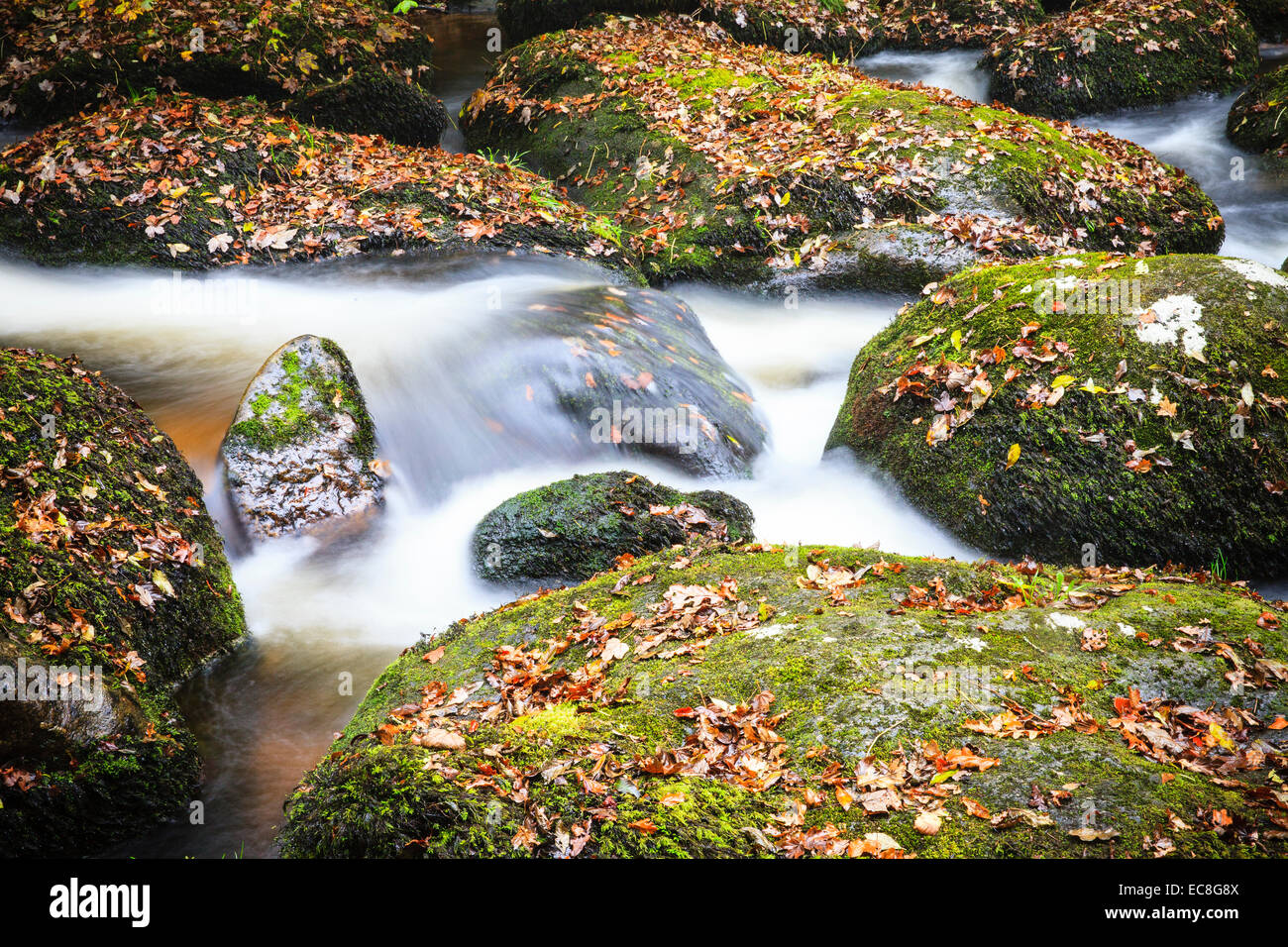 River boulders hi-res stock photography and images - Alamy