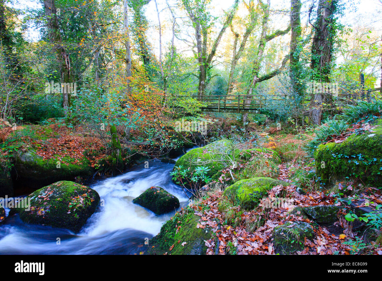 Bridge at Becky Falls, Manaton, Dartmoor National Park, Devon, England Stock Photo