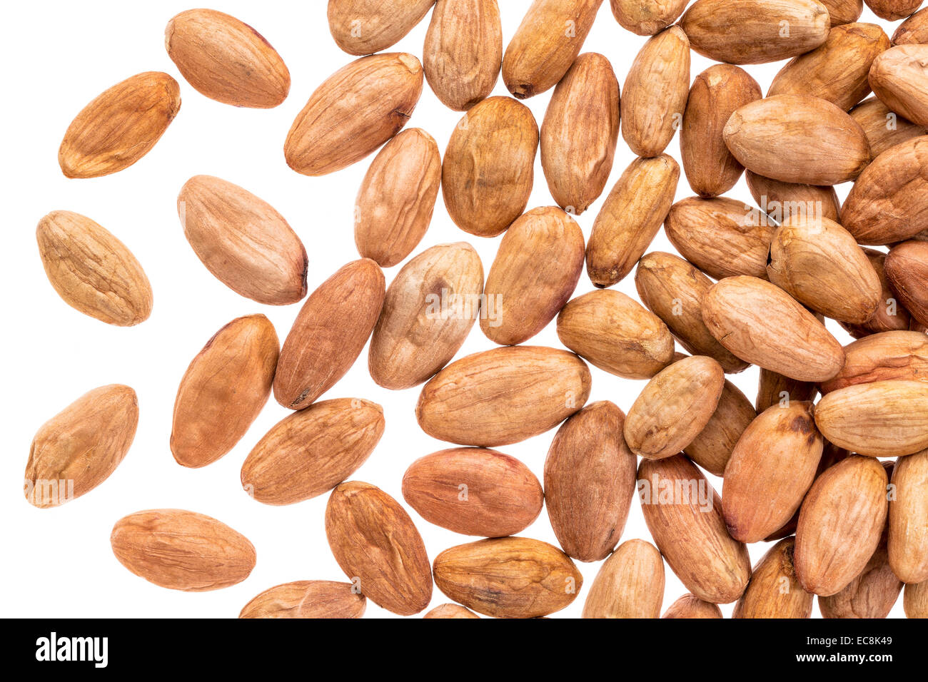 raw cacao beans o in shells against white background Stock Photo