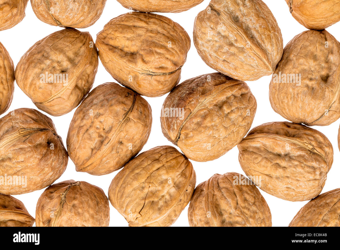 English walnuts in shells against white background Stock Photo Alamy