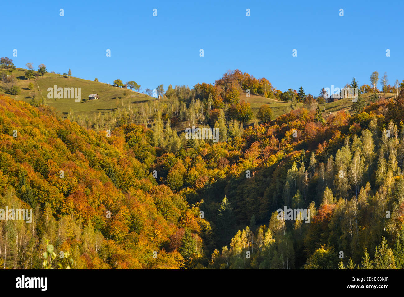 Countryside landscape in a romanian villlage at the food of Piatra Craiului Mountains Stock Photo