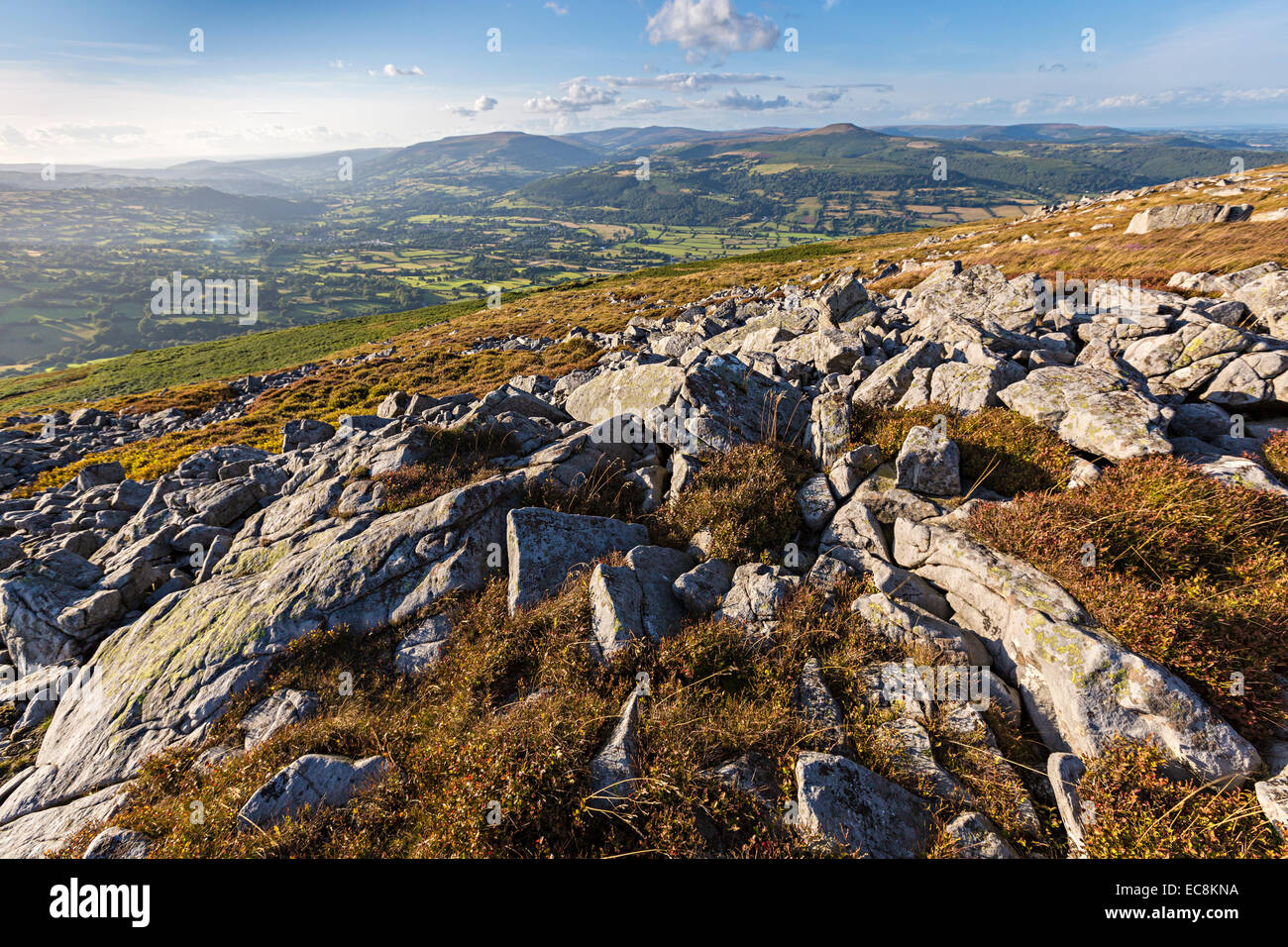 Rocks on moorland on The Blorenge, Abergavenny, Wales, UK Stock Photo