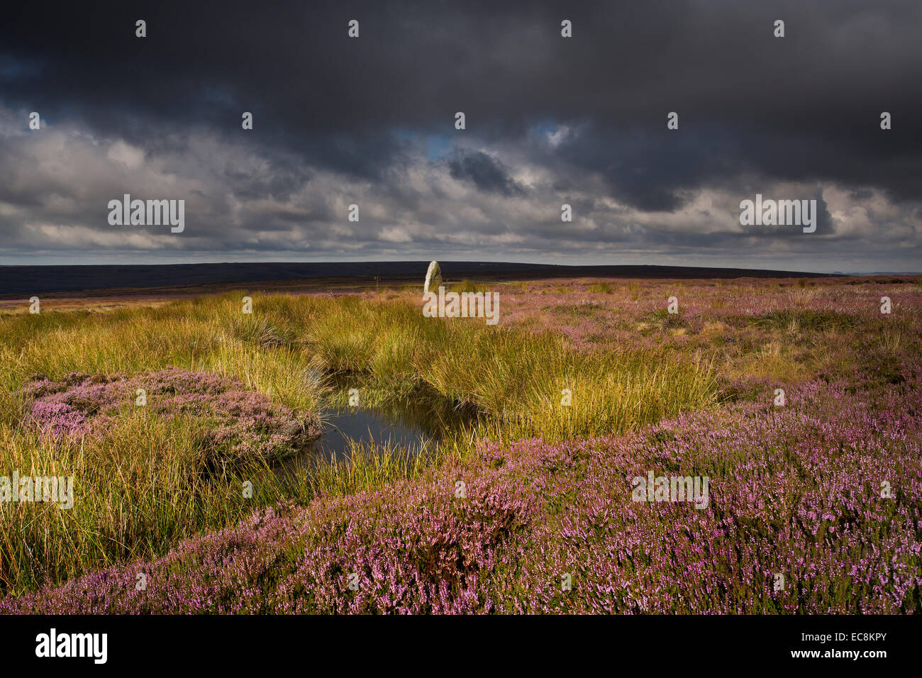 North York Moors Association Moorland Cross on Danby High Moor. NY Moors National Park Stock Photo