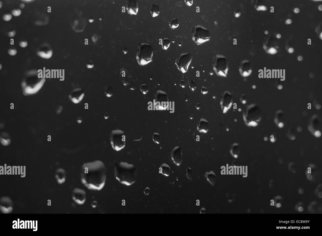 raindrops on a window Stock Photo