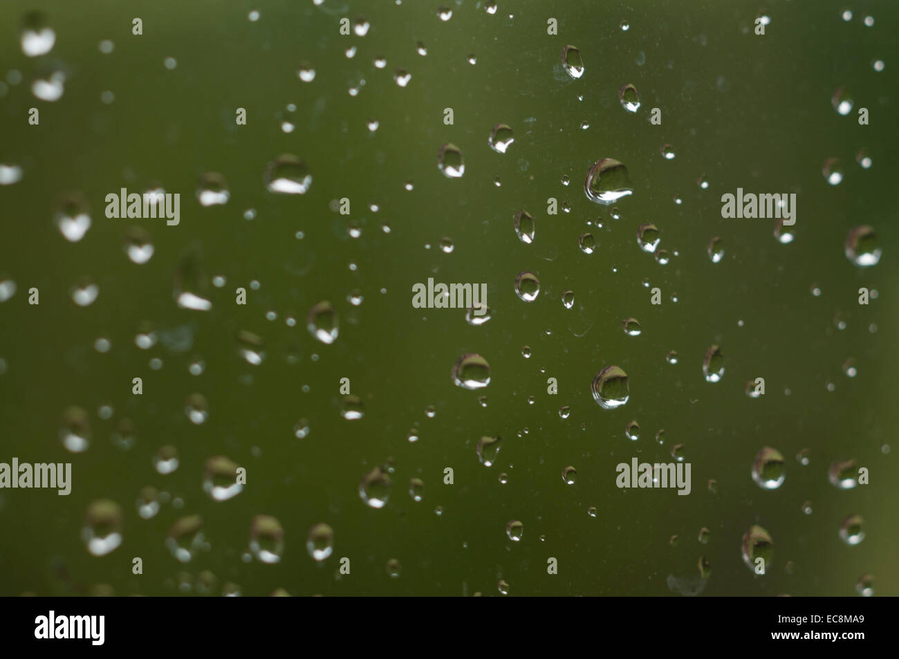 raindrops on a window Stock Photo