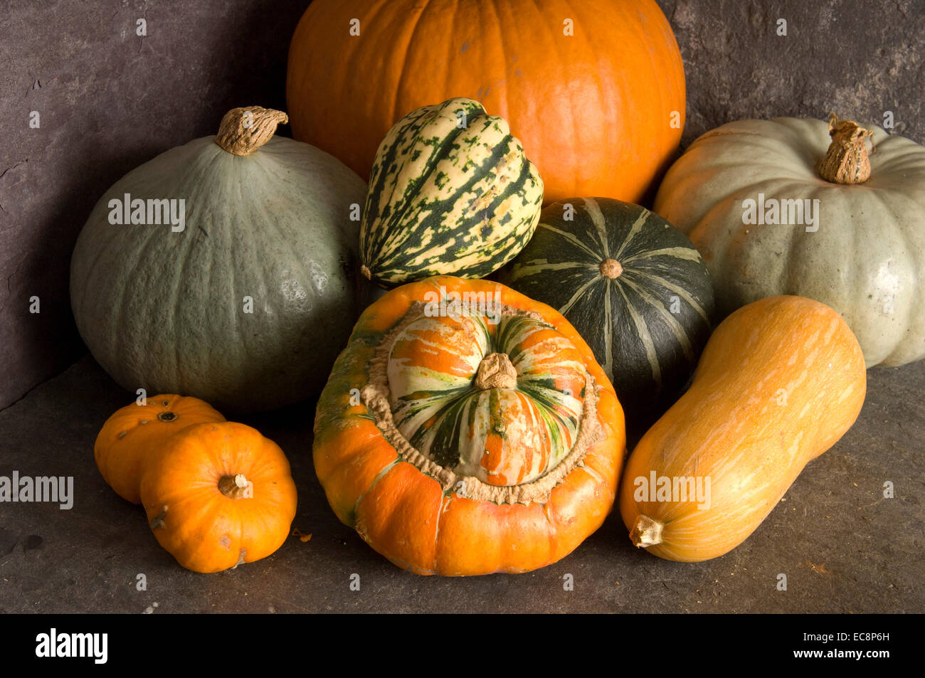 Pumpkins and squashes. Stock Photo