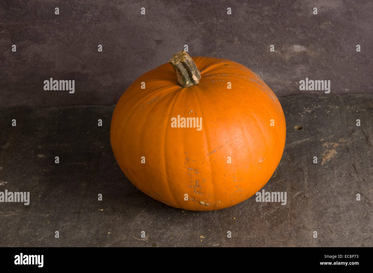 Pumpkins and squashes. Pumpkin Stock Photo