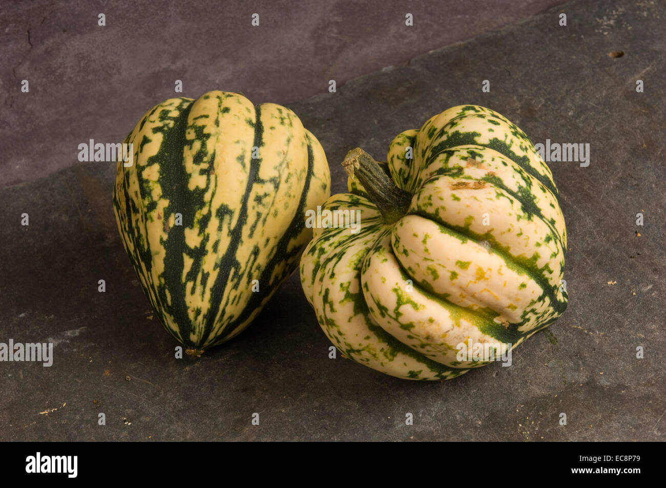 Pumpkins and squashes.  Harlequin Stock Photo