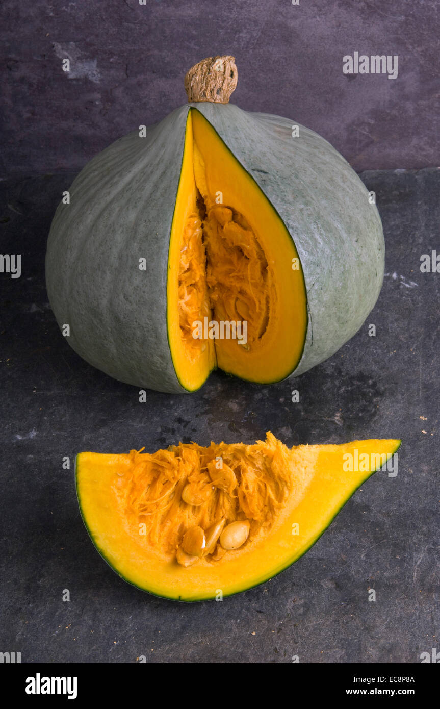 Featured image of post Recipe of Blue Ballet Squash Seeds