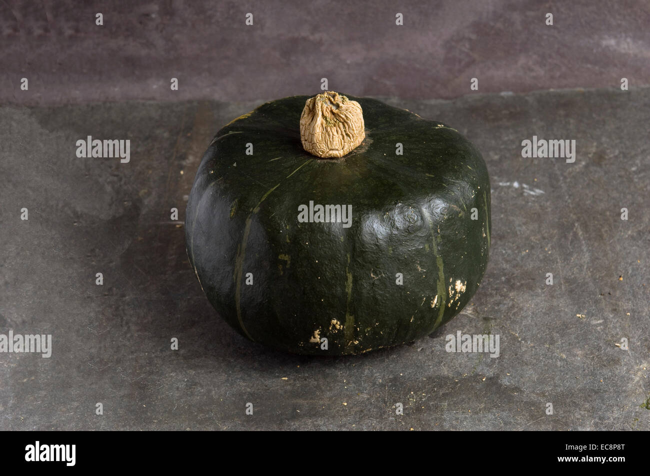Pumpkins and squashes.  Hokkaido Stock Photo