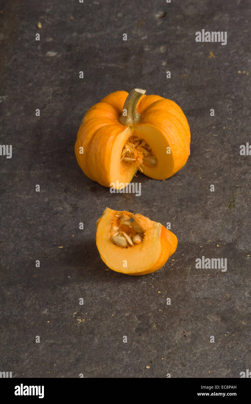 Pumpkins and squashes. Munchkin Stock Photo