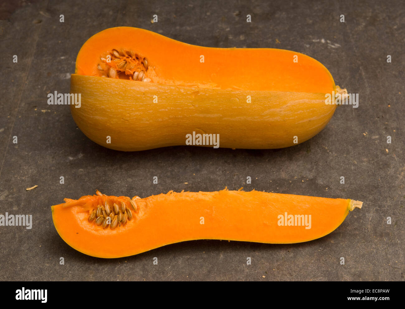 Pumpkins and squashes. Butternu Squash Stock Photo