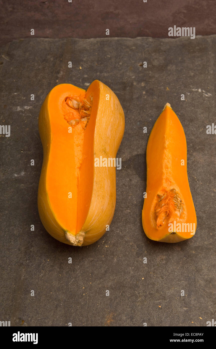Pumpkins and squashes. Butternu Squash Stock Photo