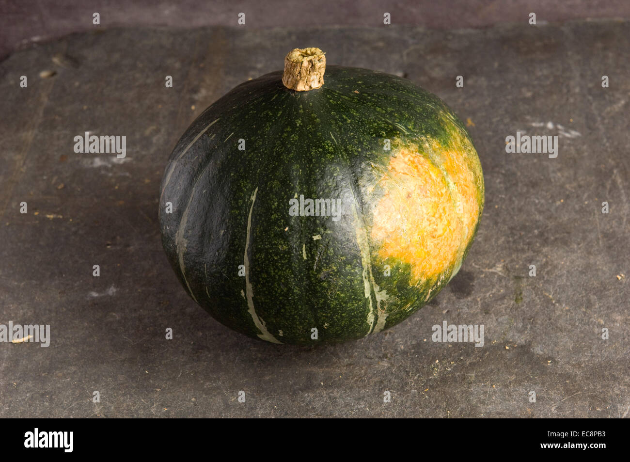 Pumpkins and squashes. Hokkaido Stock Photo - Alamy