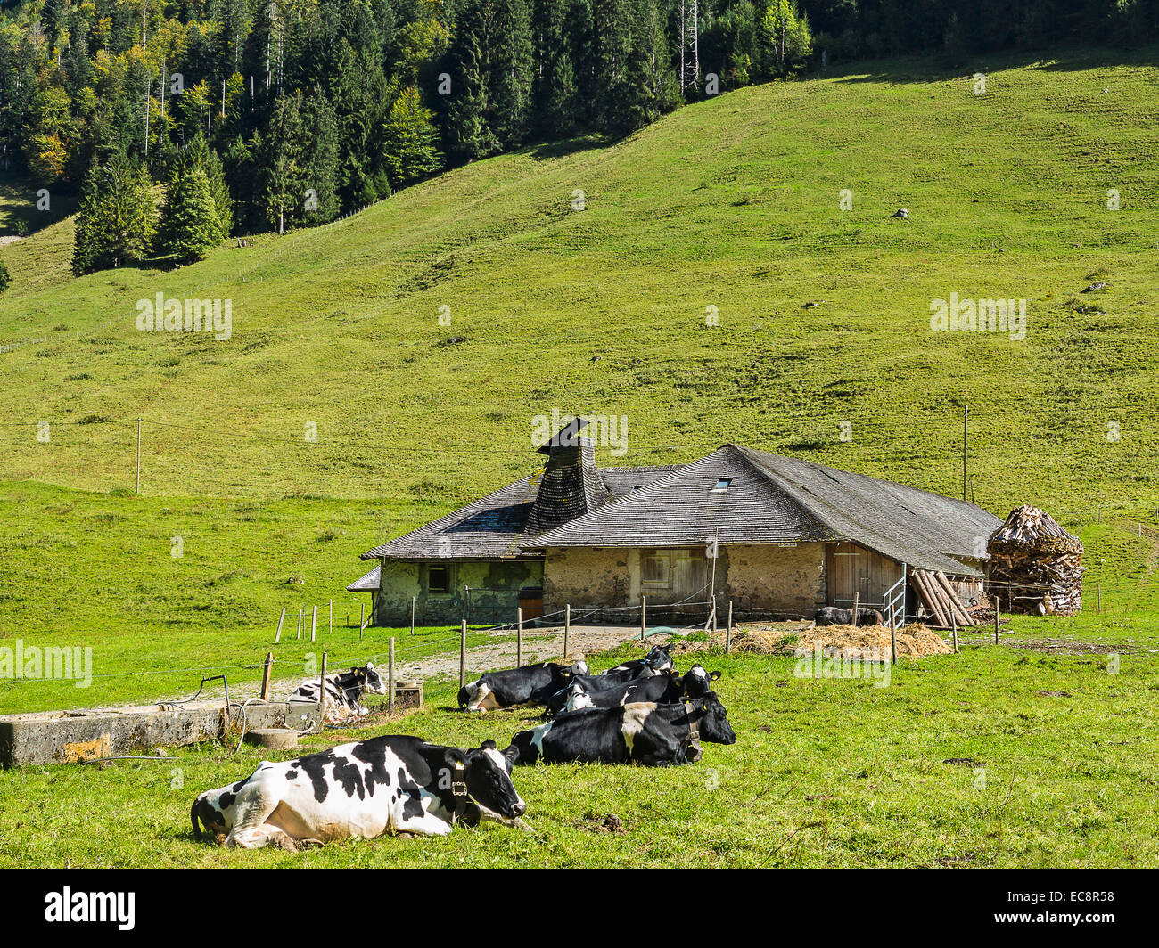 A Swiss dairy building, called 'La Vonderweire' in the canton of Fribourg Stock Photo
