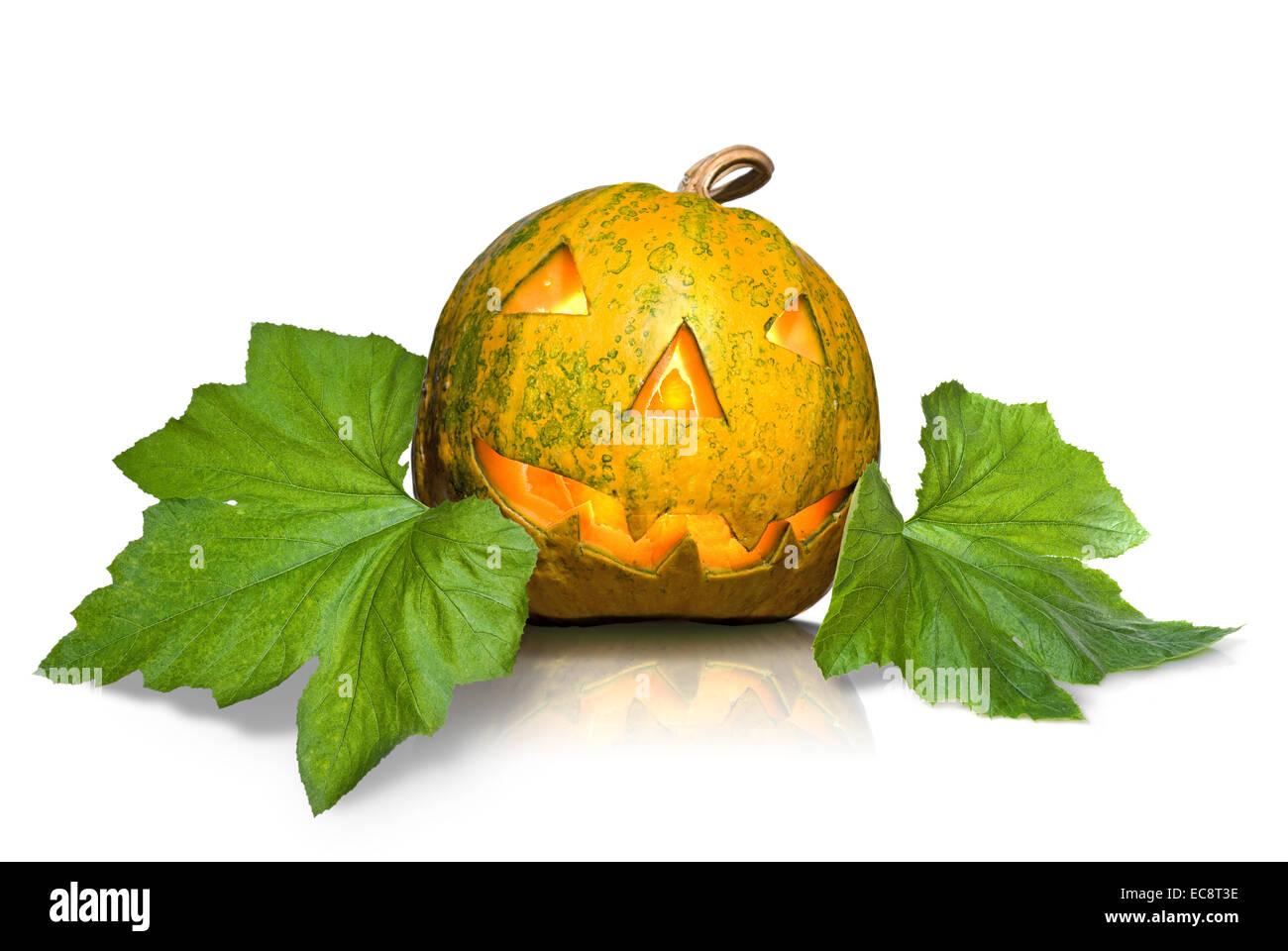 halloween pumpkin with leaves isolated on white Stock Photo - Alamy