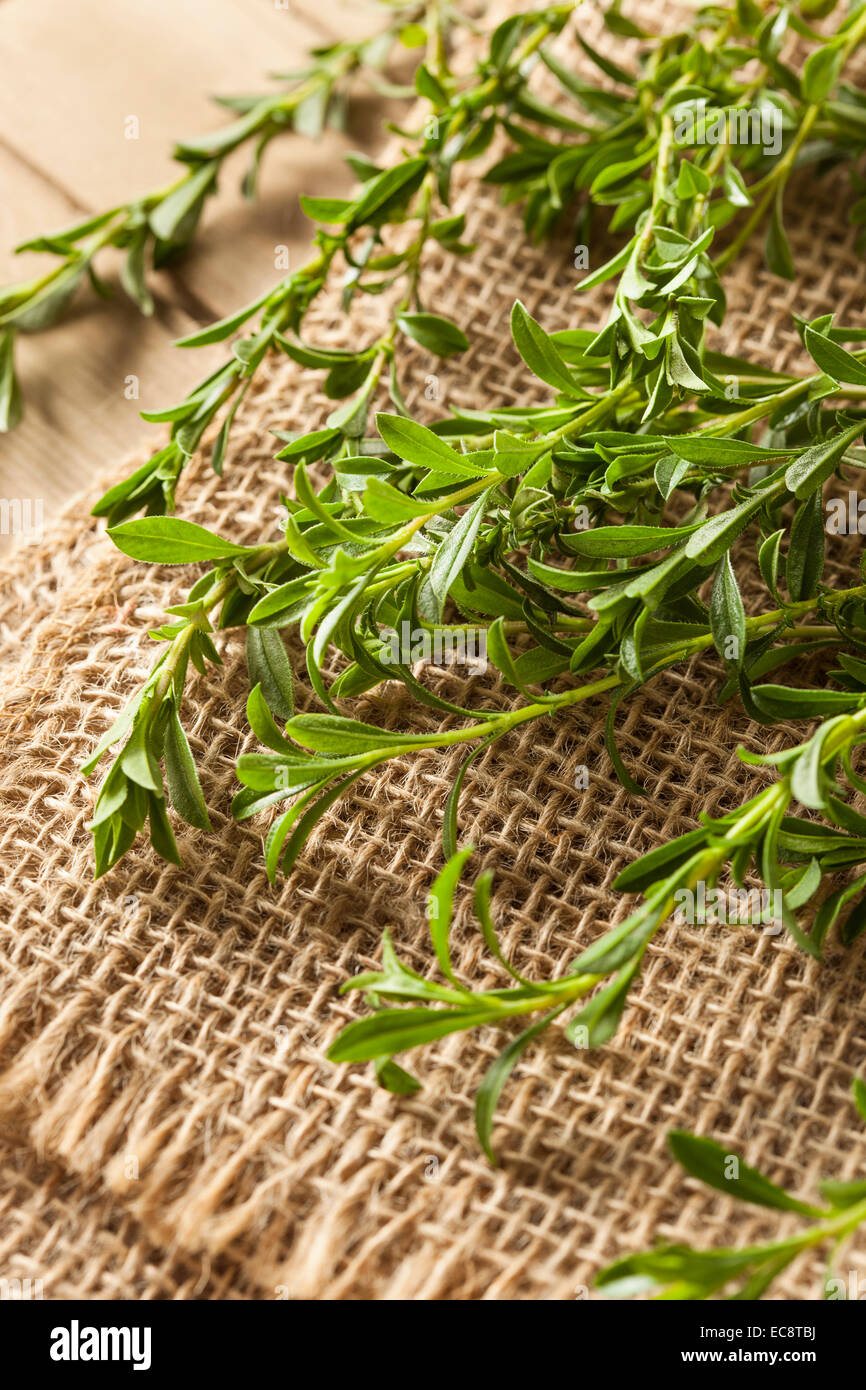Savory herb hires stock photography and images Alamy