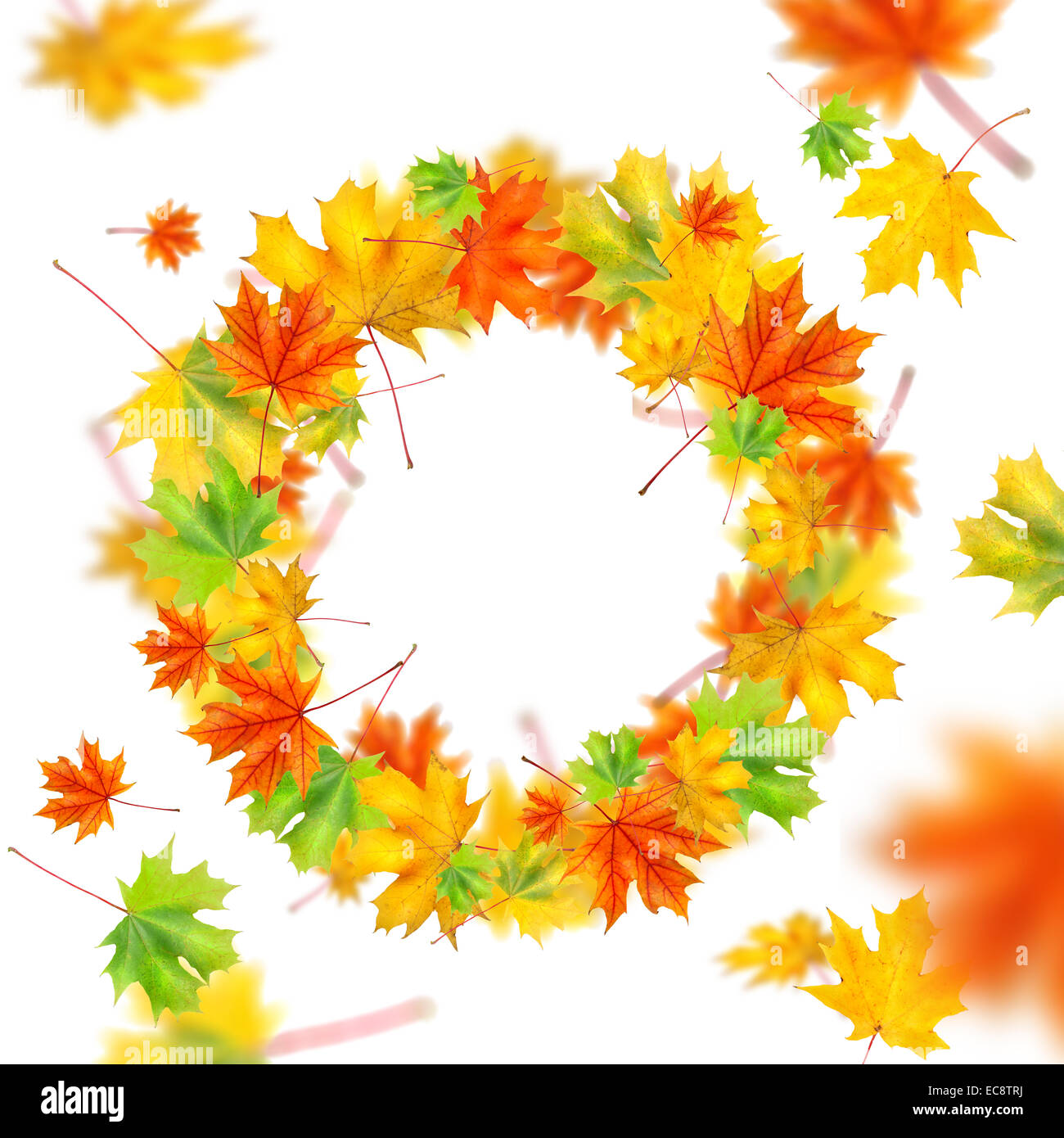 wreath from autumn leaves isolated on white Stock Photo - Alamy