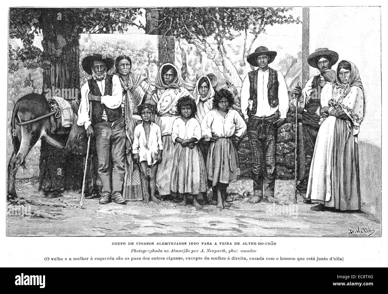 COELHO(1892) p304 GRUPO DE CIGANOS Stock Photo