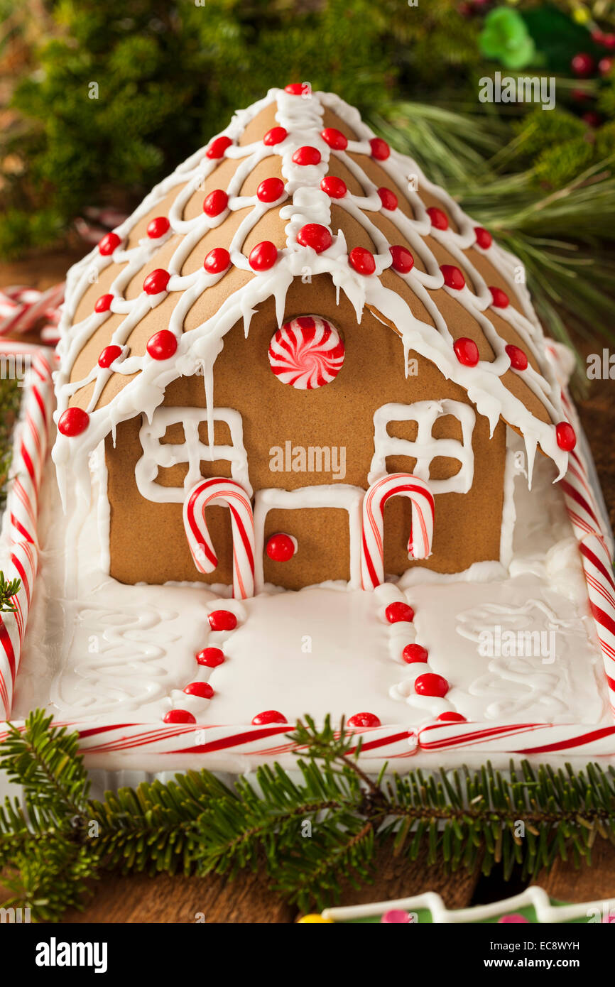 Homemade Candy Gingerbread House with Candycanes and Frosting Stock ...