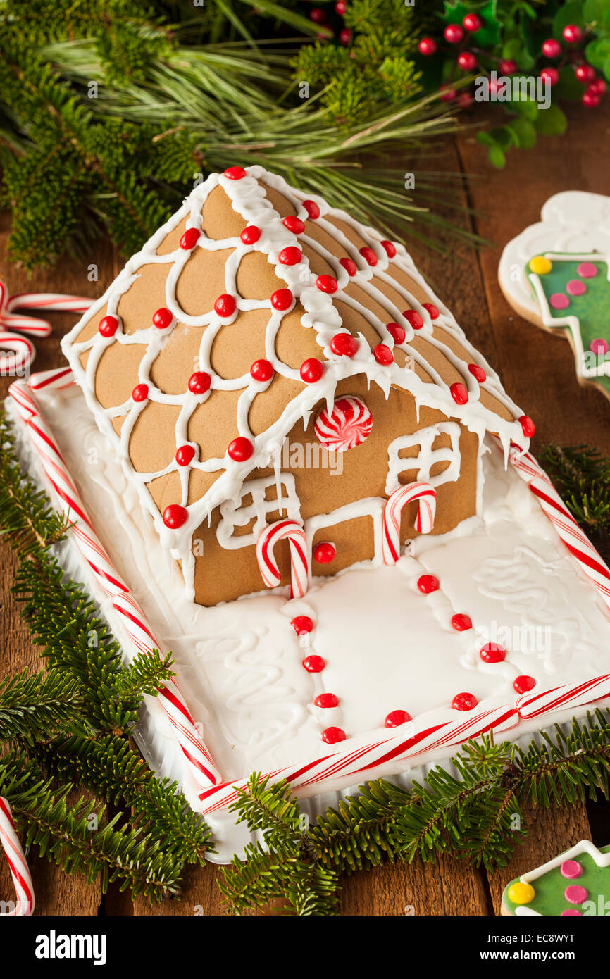 Homemade Candy Gingerbread House with Candycanes and Frosting Stock ...